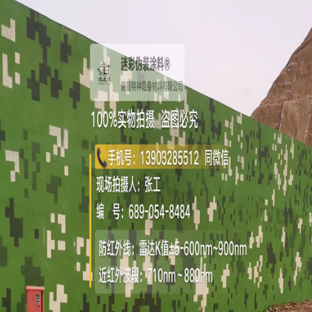 安徽专业承接园区围墙迷彩喷涂、